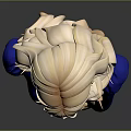 3D Female Bust Model With Blonde Curly Hair Blue Turtleneck Puffed Sleeve Top