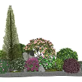 Various Colorful Flowering Shrubs With Pink Purple Blooms In Garden Landscape