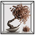 Bonsai Tree with Twisted Trunk Brown Foliage in White Bowl and Shrub with White Pebbles
