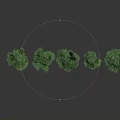 Green Plants Arranged in a Row with Standing Person Nearby