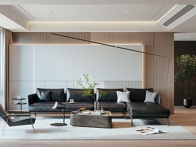 Modern Molteni & C Living Room model