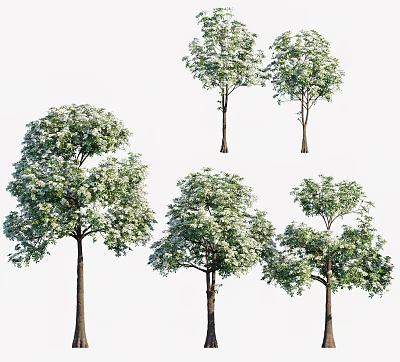 Various Arbor Specimens With Lush Foliage And Diverse Growth Forms 3d model