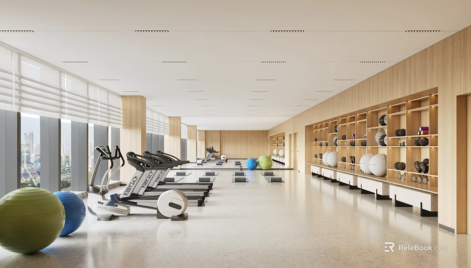 Bright Gym Space With Various Fitness Equipment And Storage Shelves 3d model 