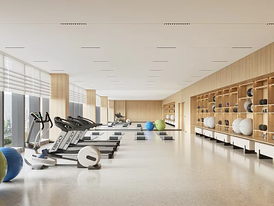 Bright Gym Space With Various Fitness Equipment And Storage Shelves 3d model