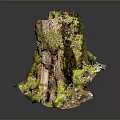 Lush Green Moss Growing on Wooden Tree Stump in Natural Plant Habitat