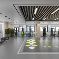 Modern Fitness Gym with Treadmills Weight Machines Yellow White Floor Markers Plants and Windows