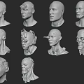 Sci-Fi Character And Creature Head Models With Mechanical Features And Various Designs 3d model