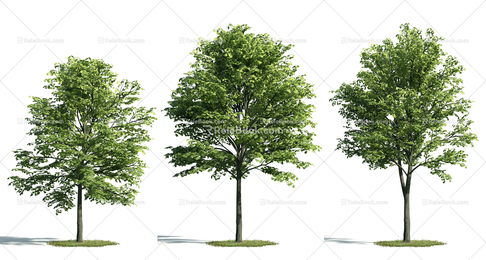 The Modern Tree 3d model