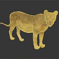 Full Body Standing Lioness on Dark Background with Clear Floor Reflection