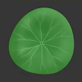 Vibrant Green Lotus Leaf Plant With Long Stem On Smooth Gray Background Surface