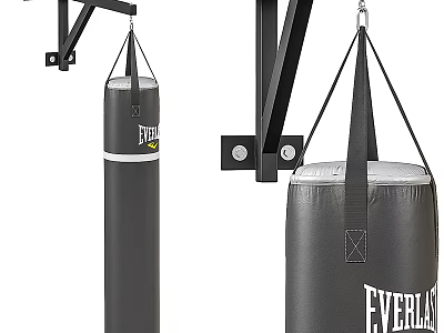 Everlast Heavy Duty Hanging Boxing Punching Bags For Sports Training Equipment 3d model