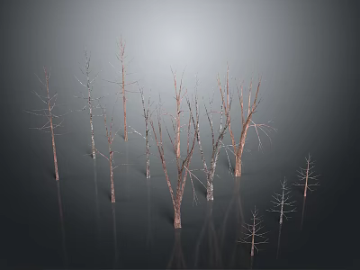 Leafless Trees With Slender Trunks In Dark Background And Ground Reflections 3d model
