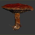 Vibrant Red Mushroom Featuring Bright Yellow Edges And White Root Threads On Gray Gradient Background 3d model