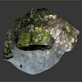 Natural Stone And Wood Decorative Scene With Moss Covered Surface And Water Puddle