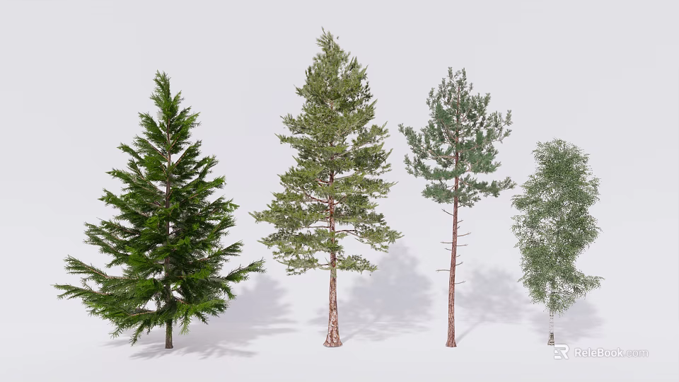 Various Arbor Tree Species With Diverse Foliage And Trunk Structures Displayed 3d model 