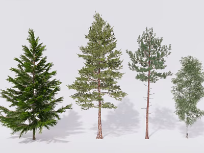 Various Arbor Tree Species With Diverse Foliage And Trunk Structures Displayed 3d model