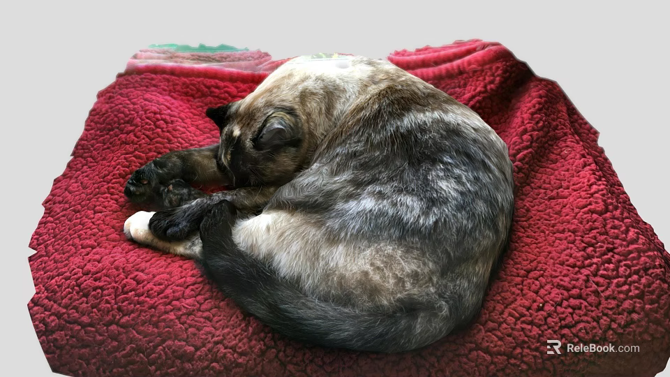Adorable Video Game Cat Character Sleeping On Red Plush Blanket 3d model 