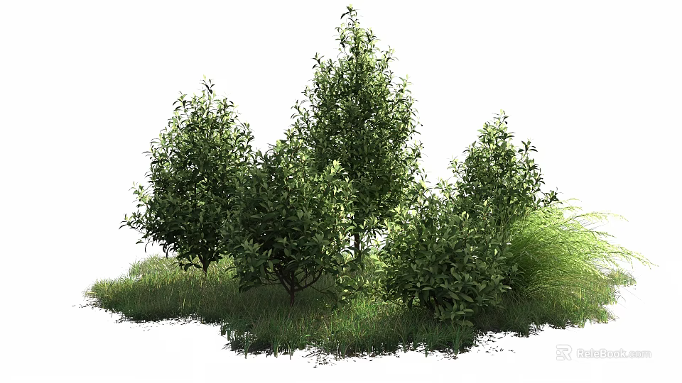 Arbor Trees with Lush Green Foliage and Grassland in Natural Setting 3d model 