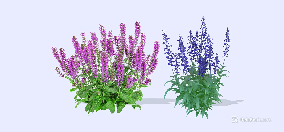 Purple And Blue Garden Flowers With Lush Green Leaves And Vibrant Petals 3d model 