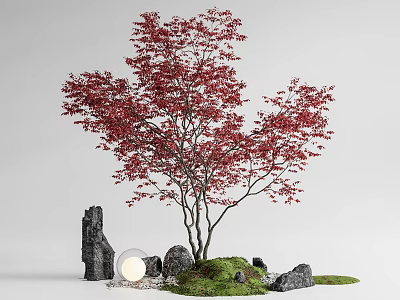 Red Leaf Tree With Stones Moss And Round Light In Landscaped Garden 3d model