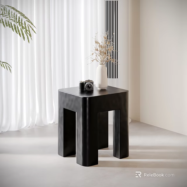 Black Modern Side Table with White Vase Dried Flowers and Camera in Light Room 3d model 