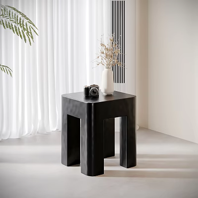 Black Modern Side Table with White Vase Dried Flowers and Camera in Light Room 3d model
