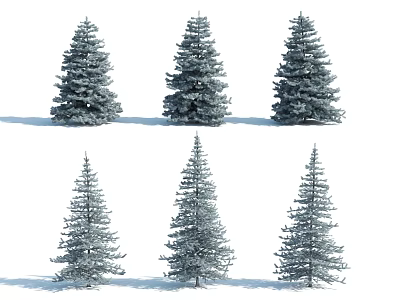 Six Snow Covered Evergreen Arborvitae Trees With Different Shapes And Foliage 3d model