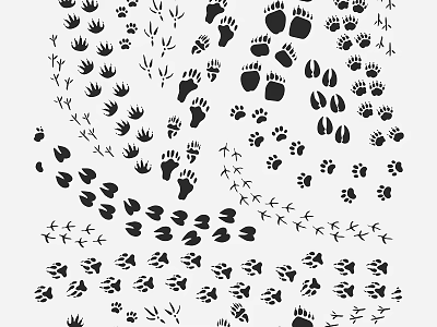 Animal Paw Prints Wall Decor With Various Sizes And Black Design On White Background 3d model