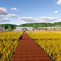 Rural Landscape Featuring Golden Rice Fields Wooden Walkway Farmhouses And Green Mountains Under Blue Sky