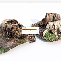 Rustic Wood Stumps On Natural Ground With Stone And Green Moss