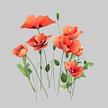 Vibrant Orange Poppies with Green Stems and Fresh Leaves Arranged on Grey Background