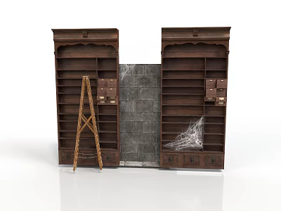 Dark Wooden Bookcases With Drawers And Gray Brick Wall Near Wooden Ladder And Spider Web 3d model