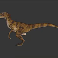 Realistic Velociraptor Dinosaur 3D Rendering With Brown Yellow Stripes And Open Mouth