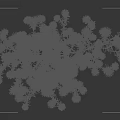 Blooming Red Flowers and Green Leaves Against Black Background With Side Ruler
