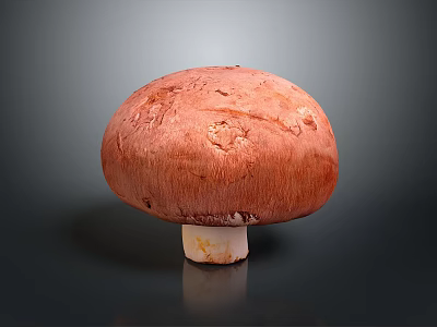 Fresh Red Mushroom With Smooth Round Cap And White Stem On Dark Background 3d model