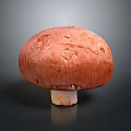 Fresh Red Mushroom With Smooth Round Cap And White Stem On Dark Background