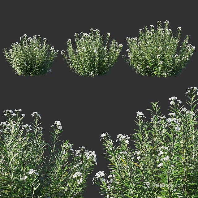 Green Leafy Shrubs With White Flowers For Garden Landscaping Design 3d model 