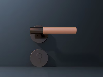 Modern Door Handle with Wooden Grip and Circular Lock on Dark Background 3d model