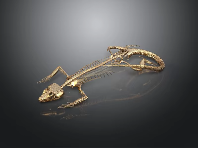 Golden Lizard Skeleton Close Up View With Intricate Structure On Dark Background 3d model