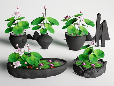 Chinese Fish Tank Ancient Method Fish Tank Lotus Tank Aquatic Plant Lotus 3d model
