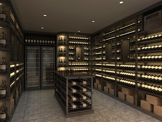 Modern Wine Cellar Stainless Steel Red Wine Cellar Cold Storage Room Constant Temperature Room Constant Temperature Cabinet Display Cabinet Cold Storage Cabinet Red Wine Cellar 3d model