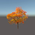 Vibrant Autumn Arbor With Orange Yellow Leaves Against Clear Blue Sky