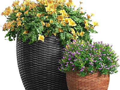 Bonsai Potted Plants with Black Brown Woven Pots Yellow Purple Flowers and Green Leaves 3d model