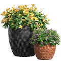 Bonsai Potted Plants with Black Brown Woven Pots Yellow Purple Flowers and Green Leaves