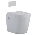 Modern White One Piece Toilet Design With Sleek Flush Button And Comfortable Seat
