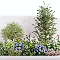 Outdoor Garden Plant Combination with Tall Trees Medium Shrubs Purple White Flowers and Green Foliage