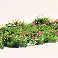 Vibrant Garden Bed With Red Yellow Flowers And Lush Green Leaves