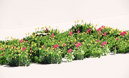 Modern Flower Border Plant Group 3d model