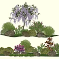 Beautiful Garden Landscape Design With Wisteria Flowers Shrubs Rocks And Greenery