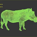 Warthog With Brown Fur Mane And Tusks In Detailed Standing Posture On Gray Background
